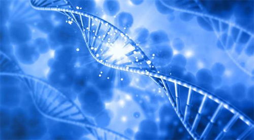 中國首例正序生物堿基編輯藥物成功治愈外籍患者，開創(chuàng)基因治療新紀(jì)元